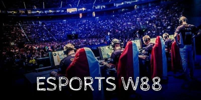 Giải thích thuật ngữ thể thao điện tử ESPORTS W88