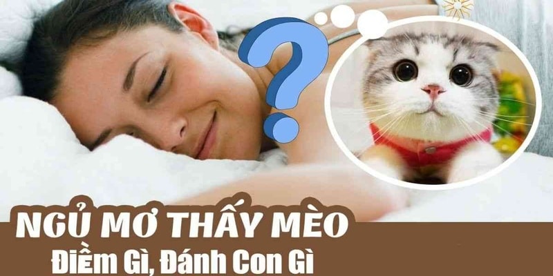 năm mơ thấy mèo đánh con gì? w88 giải mã giấc mơ